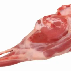 CARNE DE OVEJO 
