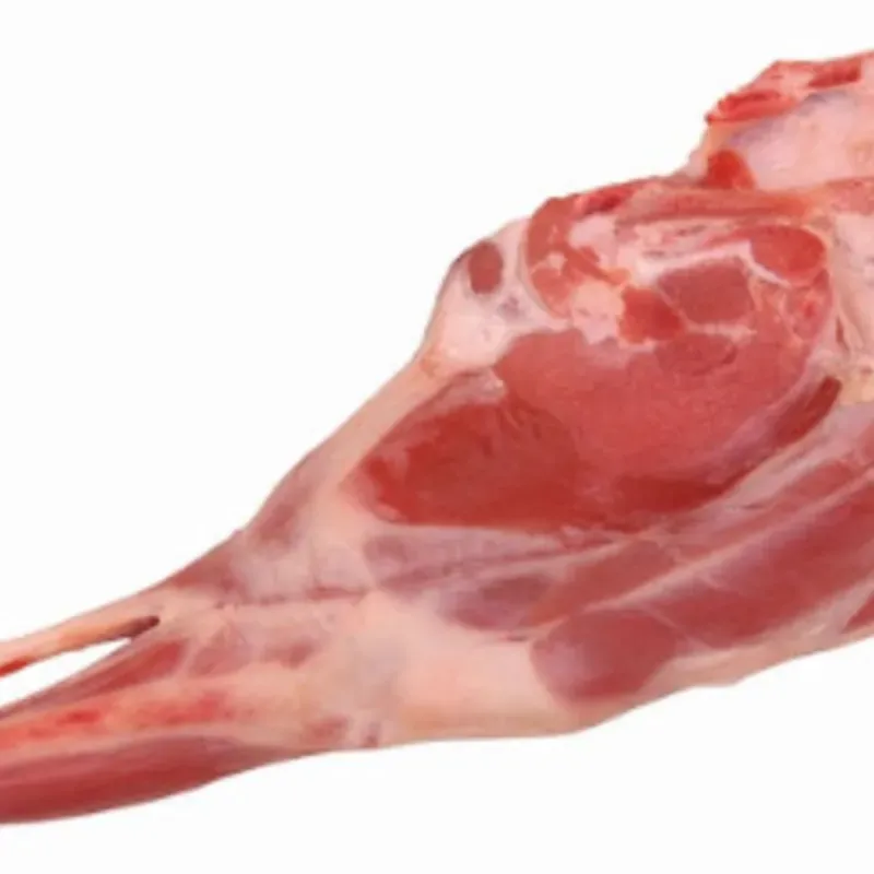 CARNE DE OVEJO 
