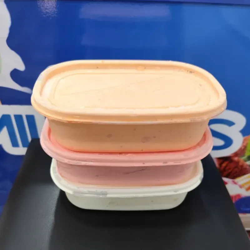 POTE DE HELADO 1LITRO
