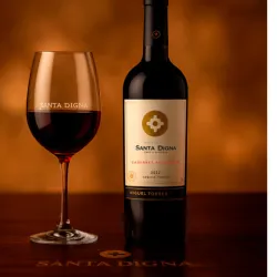 Botella Vino Santa Digna