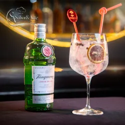 Gin Tonic