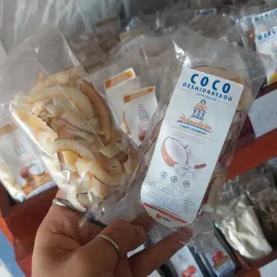 Coco deshidratado en láminas (35g)