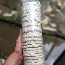 Galletas de arroz inflado y aceite de moringa (30uds)