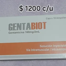Gentamicina