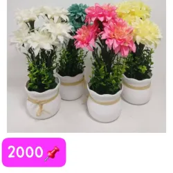 Dalia en maceta 🪴