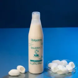 Salerm 21 250 ml