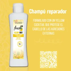 Shampoo reparador para rizos 1000 ml