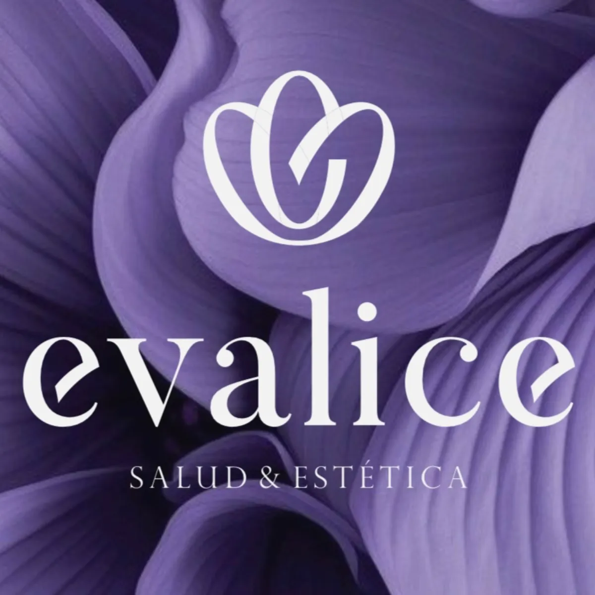 Salón EVALICE