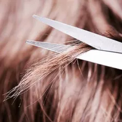 Retiro de orquetillas en pelo corto