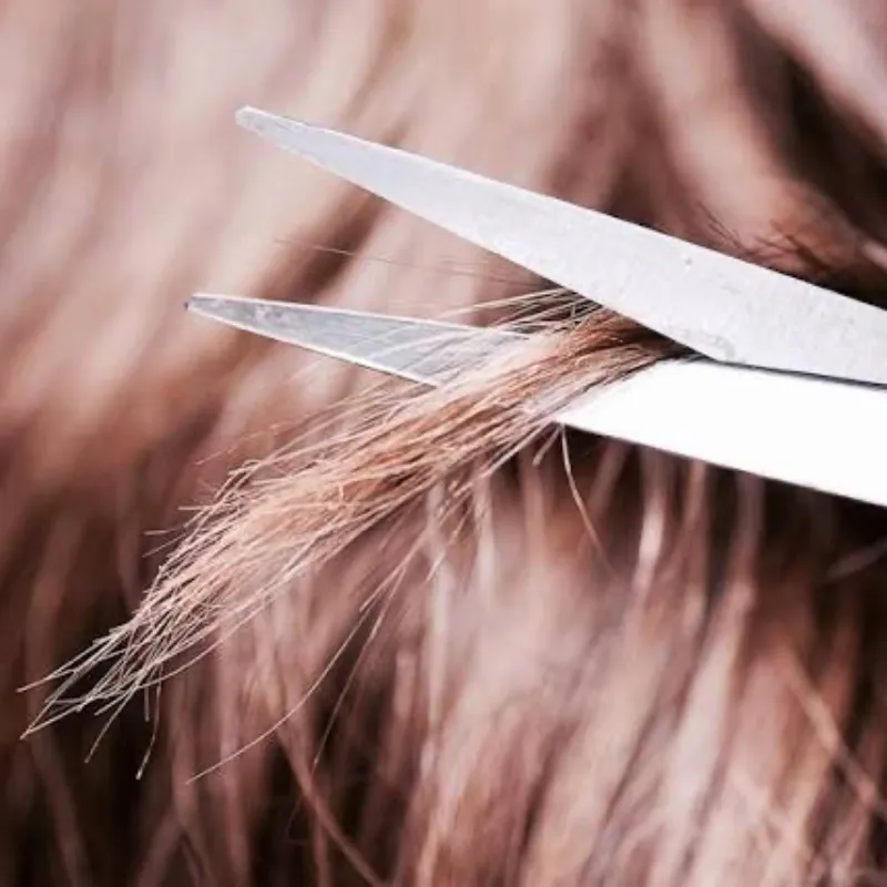 Retiro de orquetillas en pelo corto