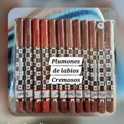 Lápices delineadores de labios 