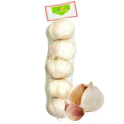 Ajo