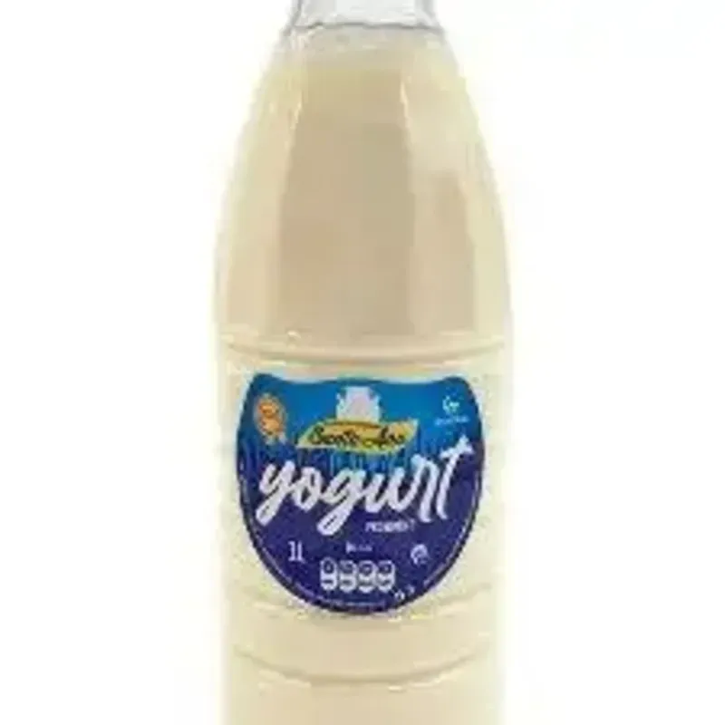 Yogurt Probiótico Santa Ana 