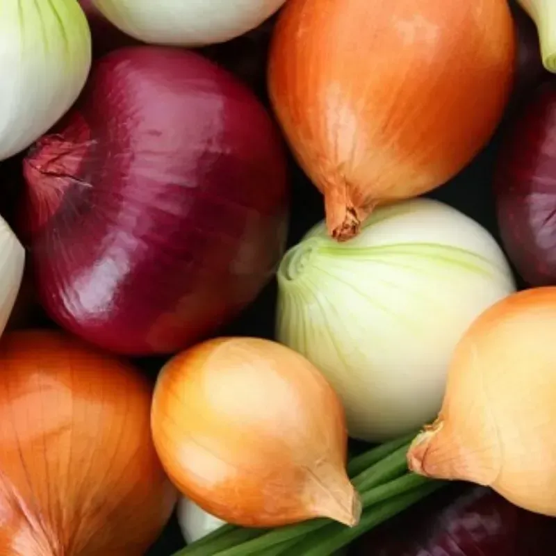 Cebolla Blanca Importada 