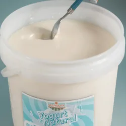 YOGUR SABORIZADO