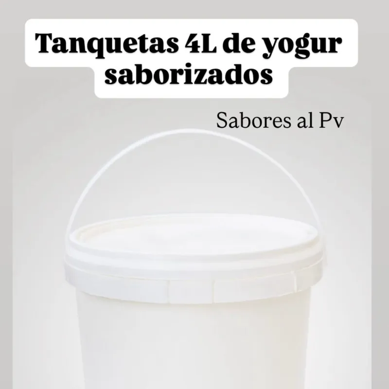 YOGUR SABORIZADO