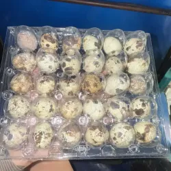 Huevo de codorniz (30 U)