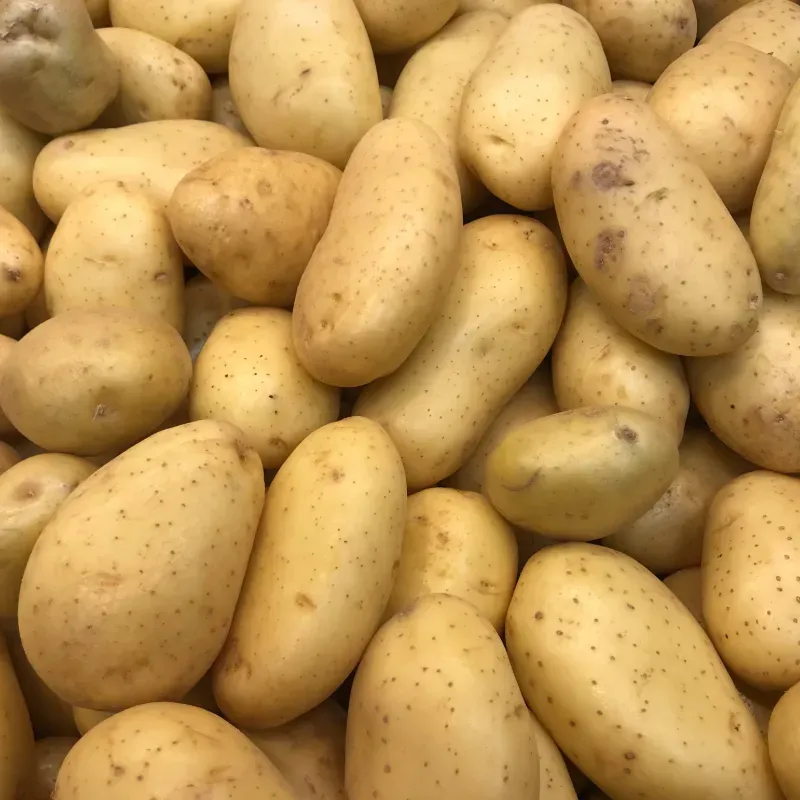 Papas 10 (lb)