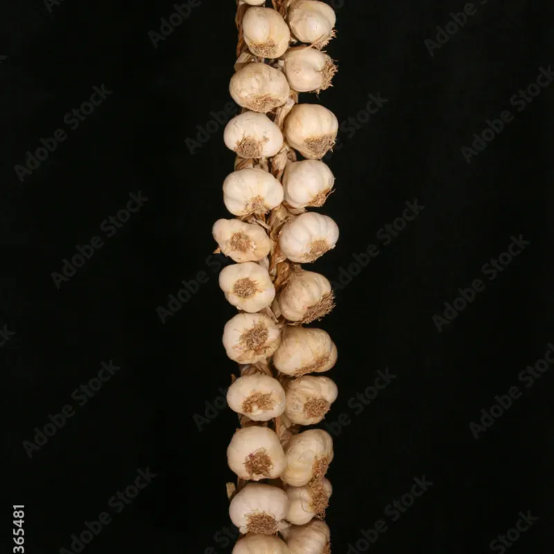Pata de ajo (50u)