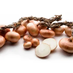 Pata de cebolla  (20U)