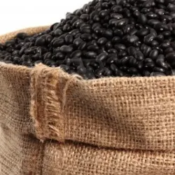 Saco de frijol negro (100lb)