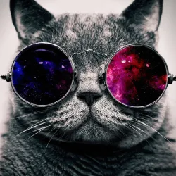 ANIMALES: 001