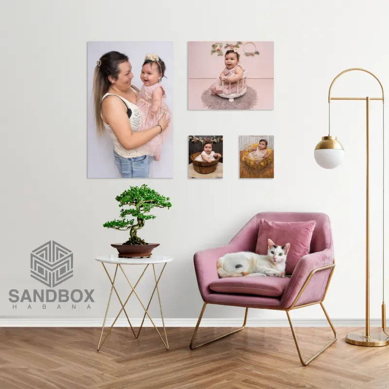 Cuadros Canvas Pack Harmonius