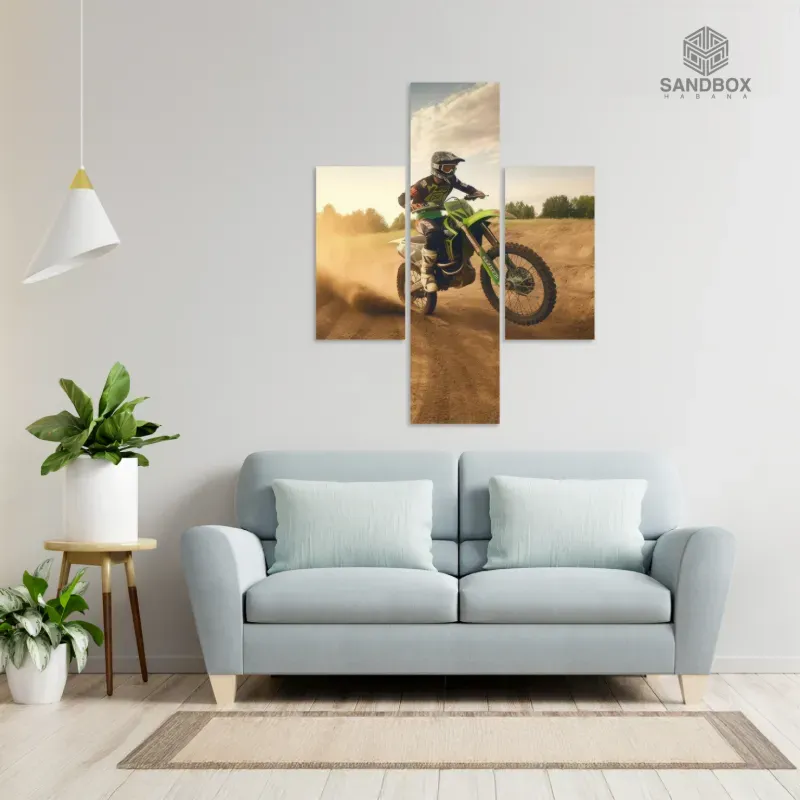 Cuadros Canvas Pack Victorius