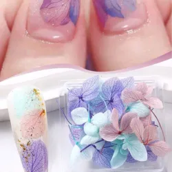 Naturaleza Muerta encapsulado