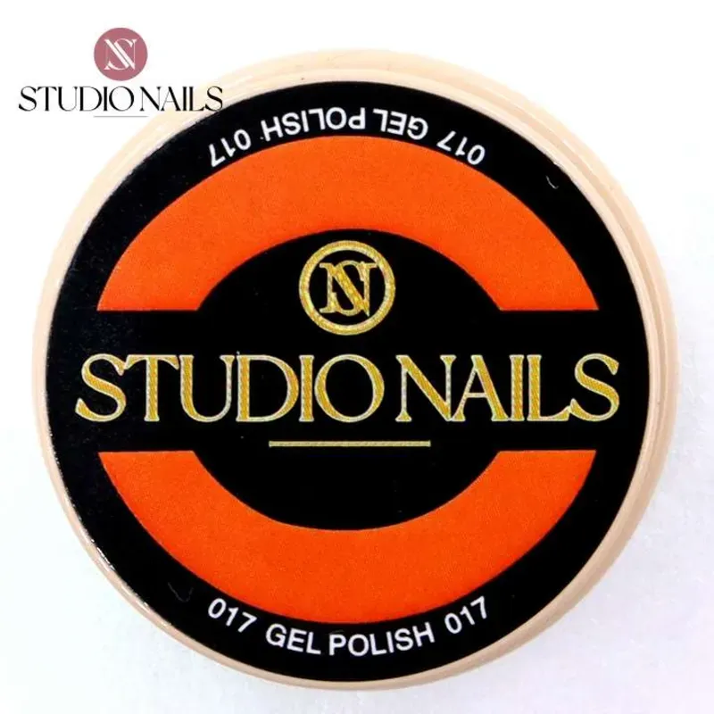 Painting Gel 017