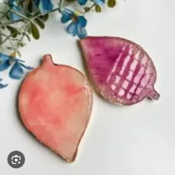 Plato para Dibujo o para Fotos