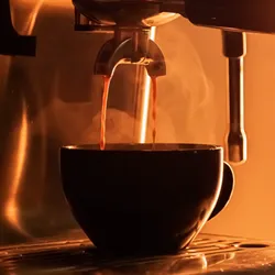 Café Rocío de Gallo 