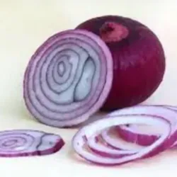 AGREGO CEBOLLA