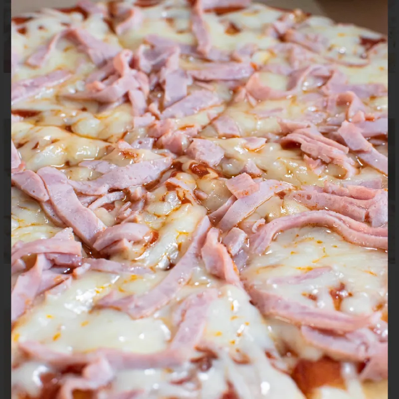 Pizza de Jamón y Queso 