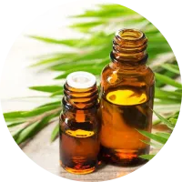 🍃Sanem Guane 🍃