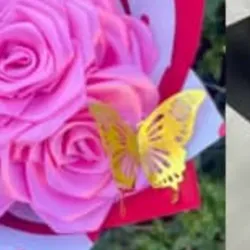 Mariposa