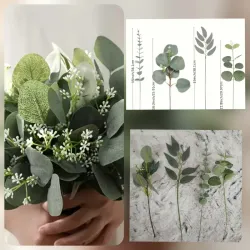 Espigas de Eucalipto