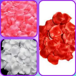 Petalos artificiales (100u)