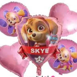 Set de Sky ( paw patrol)