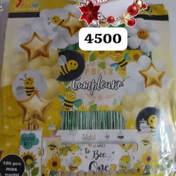 Set decorativos 100piezas 