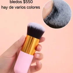 Bledo