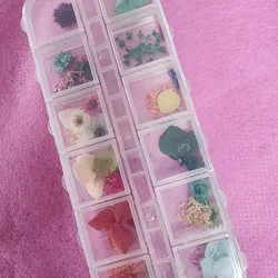 Caja de naturaleza muerta