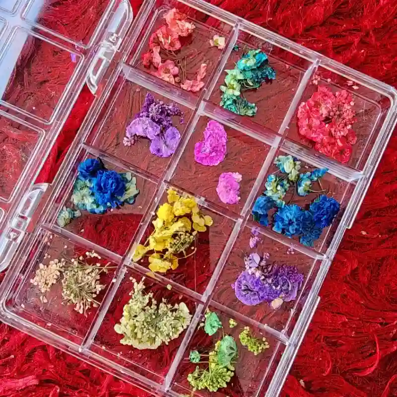 Caja de naturaleza muerta