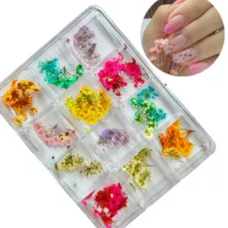 Caja de naturaleza muerta