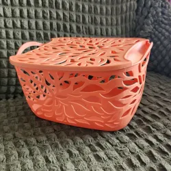 Cesta organizadora mediana con tapa