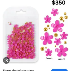 Flores d recina