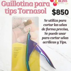 Guillotina