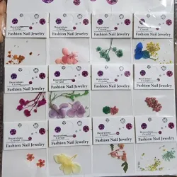 Sobres de naturaleza muerta 