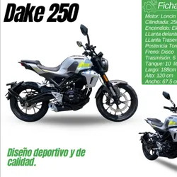 Moto Dake 250 