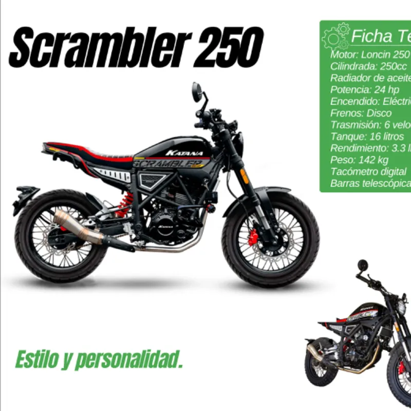 Moto Scrambler 250